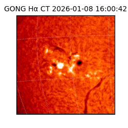 gong - 2026-01-08T16:00:42
