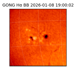 gong - 2026-01-08T19:00:02