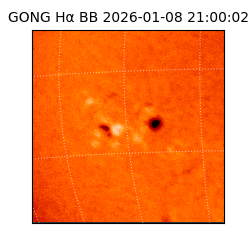 gong - 2026-01-08T21:00:02