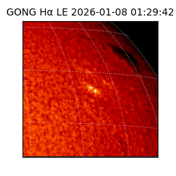 gong - 2026-01-08T01:29:42