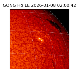 gong - 2026-01-08T02:00:42