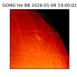 gong - 2026-01-08T19:00:02