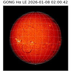gong - 2026-01-08T02:00:42