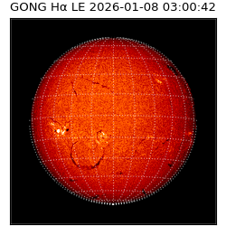 gong - 2026-01-08T03:00:42