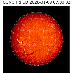 gong - 2026-01-08T07:00:02