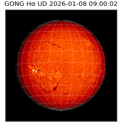 gong - 2026-01-08T09:00:02