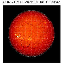 gong - 2026-01-08T10:00:42