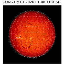 gong - 2026-01-08T11:01:42