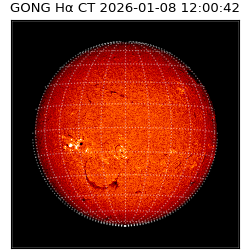 gong - 2026-01-08T12:00:42