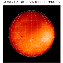 gong - 2026-01-08T19:00:02