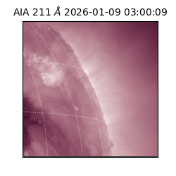 saia - 2026-01-09T03:00:09.630000