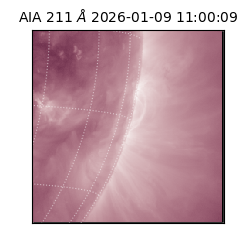 saia - 2026-01-09T11:00:09.626000