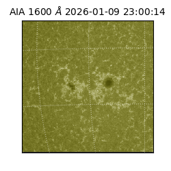 saia - 2026-01-09T23:00:14.129000