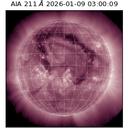 saia - 2026-01-09T03:00:09.630000