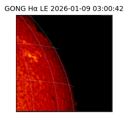 gong - 2026-01-09T03:00:42