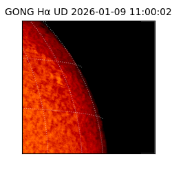 gong - 2026-01-09T11:00:02
