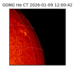 gong - 2026-01-09T12:00:42