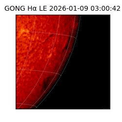 gong - 2026-01-09T03:00:42