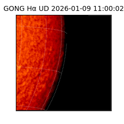 gong - 2026-01-09T11:00:02