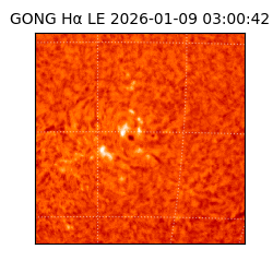 gong - 2026-01-09T03:00:42