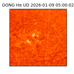 gong - 2026-01-09T05:00:02