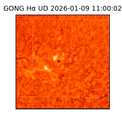 gong - 2026-01-09T11:00:02