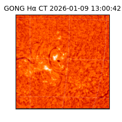 gong - 2026-01-09T13:00:42