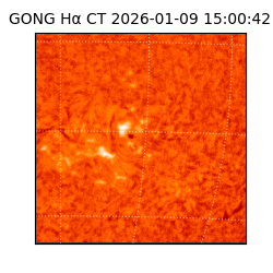 gong - 2026-01-09T15:00:42