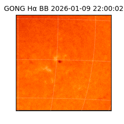 gong - 2026-01-09T22:00:02