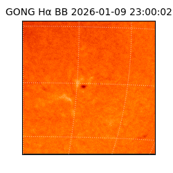 gong - 2026-01-09T23:00:02