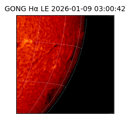 gong - 2026-01-09T03:00:42