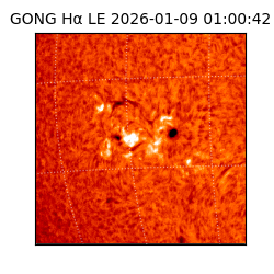 gong - 2026-01-09T01:00:42