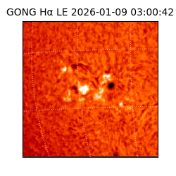 gong - 2026-01-09T03:00:42