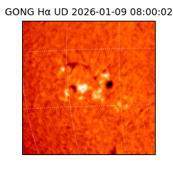 gong - 2026-01-09T08:00:02