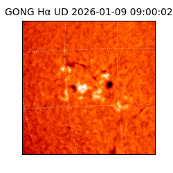 gong - 2026-01-09T09:00:02