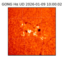 gong - 2026-01-09T10:00:02