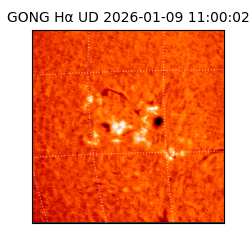 gong - 2026-01-09T11:00:02