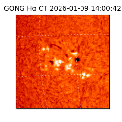 gong - 2026-01-09T14:00:42