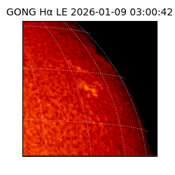 gong - 2026-01-09T03:00:42