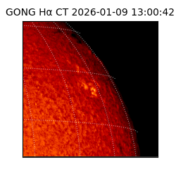 gong - 2026-01-09T13:00:42