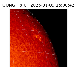 gong - 2026-01-09T15:00:42