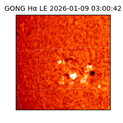 gong - 2026-01-09T03:00:42
