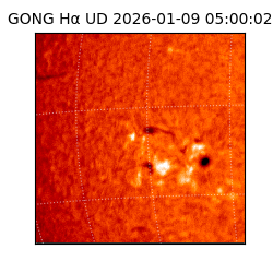 gong - 2026-01-09T05:00:02