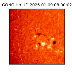 gong - 2026-01-09T08:00:02