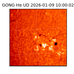 gong - 2026-01-09T10:00:02