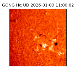gong - 2026-01-09T11:00:02