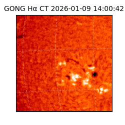 gong - 2026-01-09T14:00:42