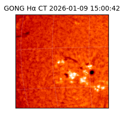 gong - 2026-01-09T15:00:42