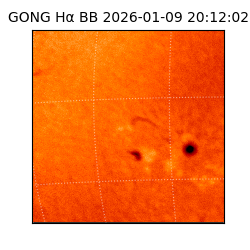 gong - 2026-01-09T20:12:02