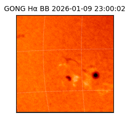 gong - 2026-01-09T23:00:02